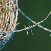 Alambre de púas